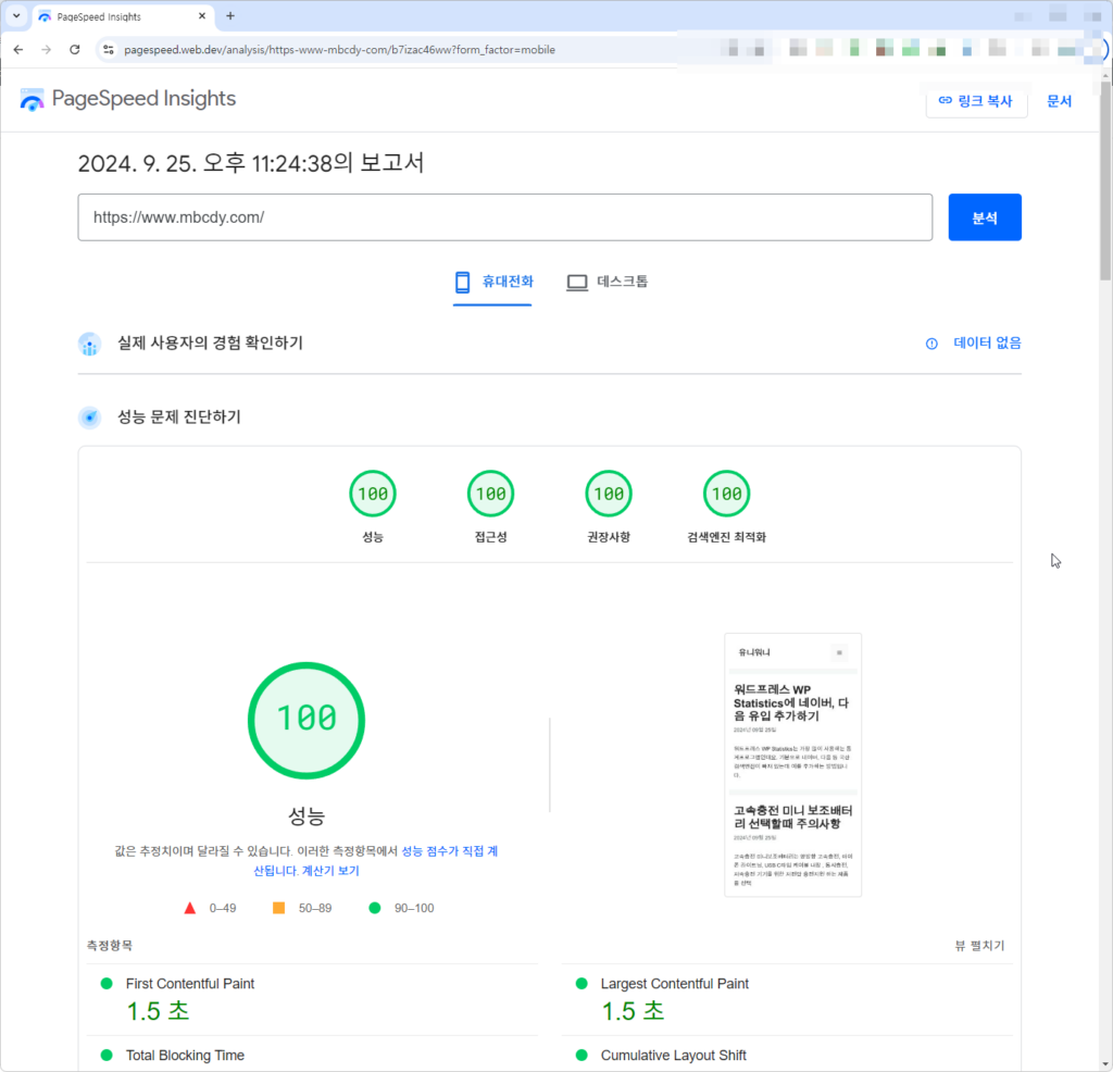 pagespeed 100점
